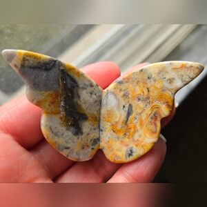 Crazy Lace Butterfly